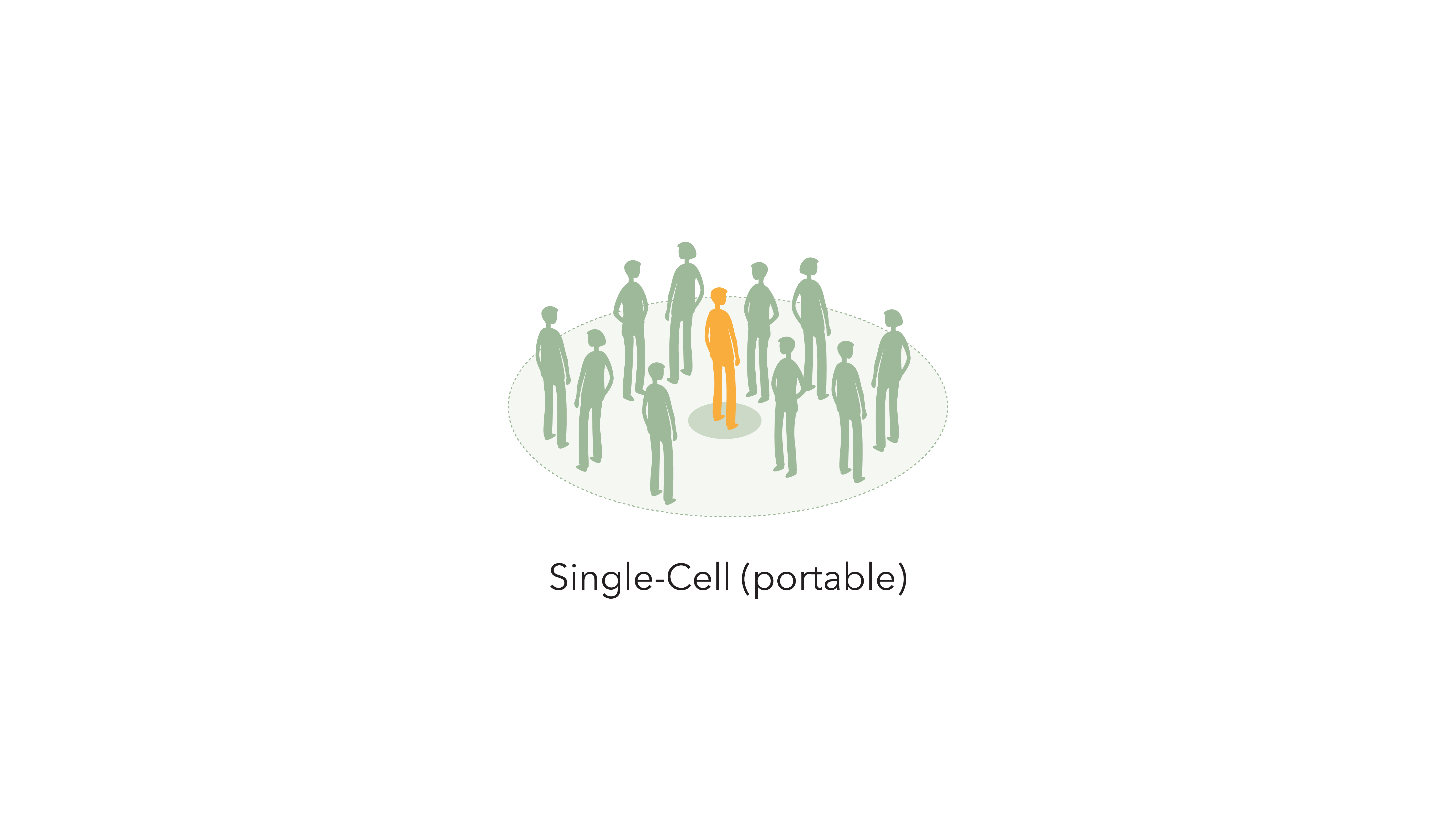 single cell